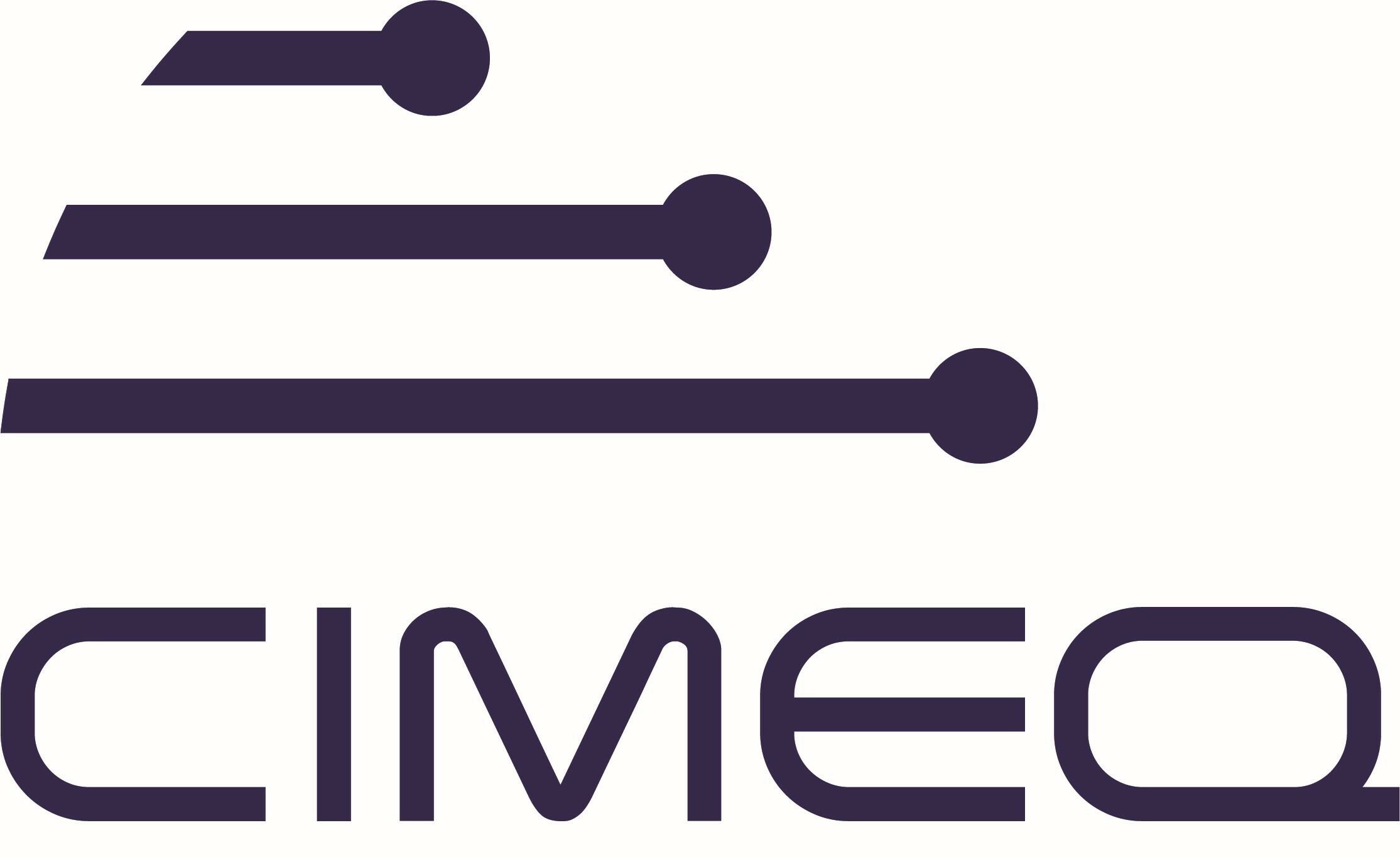 Logo CIMEQ4 X 2024
