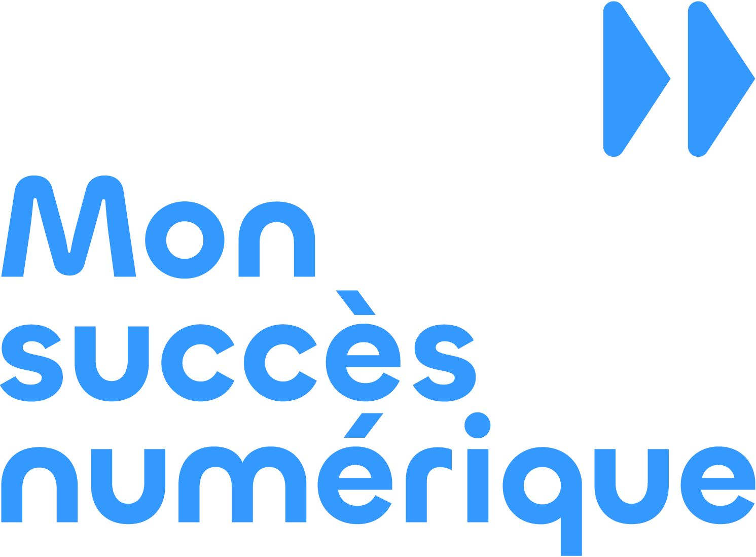 Logo Mon Succes Numerique Bleu