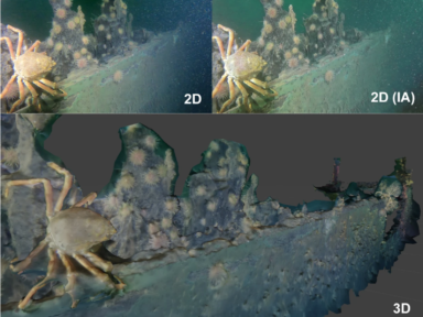 Phase 2 de la virtualisation de l'épave Scotsman| Réseau CCTT