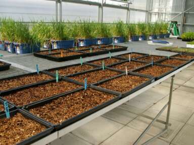 Biopterre, innovateur de nature | Actualités| Réseau CCTT