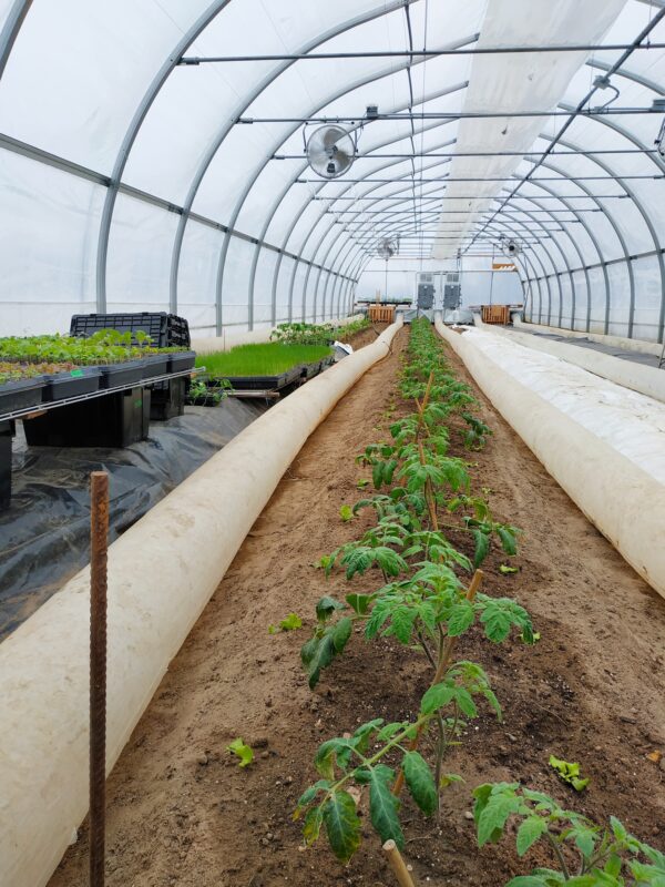 275828097 4983063095144087 6130186739952452920 n