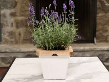 Gala de l’ADRIQ : HerbiaEra, une jardinière intelligente pour la culture à domicile