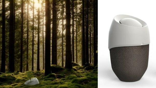 Lurne Roots de Muses Design est degradable