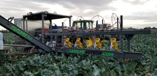 Équipement robotisé pour la cueillette de brocolis