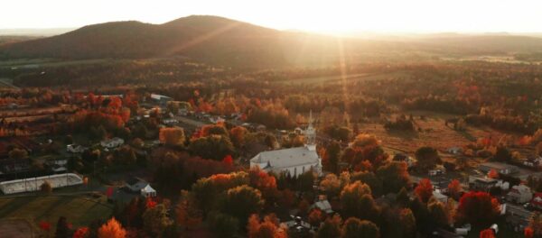 Modèle d'intelligence artificielle de segmentation d'images sous stéroïdes