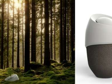 ROOTS:  L'urne dégradable qui accompagne le deuil par un processus intégrant la pousse d'un arbre