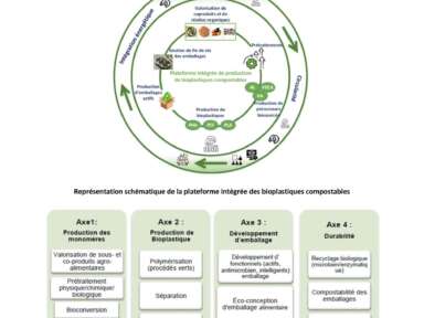 Collaborer sur différents axes de la plateforme des bioplastiques