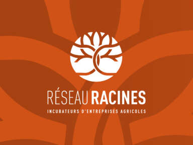 Réseau Racines : structuration d’un réseau formel pour collaborer et trouver des  solutions aux défis de l’établissement en agriculture