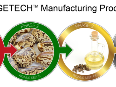 Produire un éco-cuir 100% végéto-sourcé