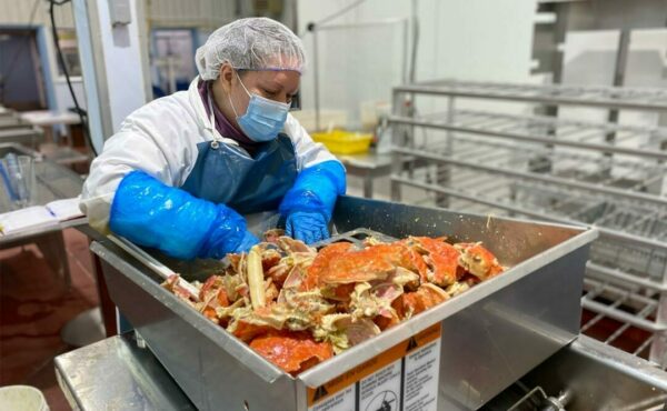 Travailleuse usine fruit de mer