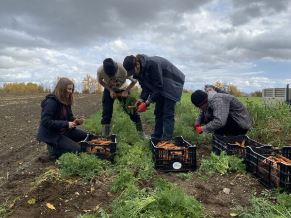 Des jeunes travaillent dans un champs