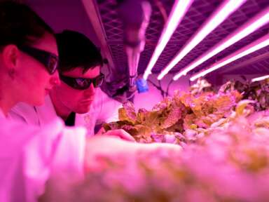 Comment jumeler innovation technologique et développement durable?