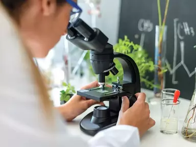 Les CCTT au cœur du développement durable des territoires