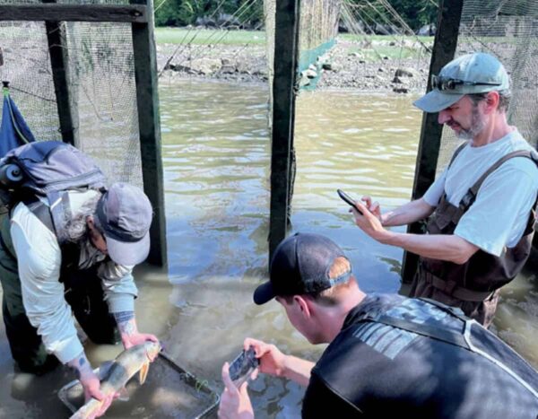 Peche intelligente CIMMI