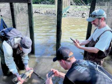 Pour une pêche intelligente