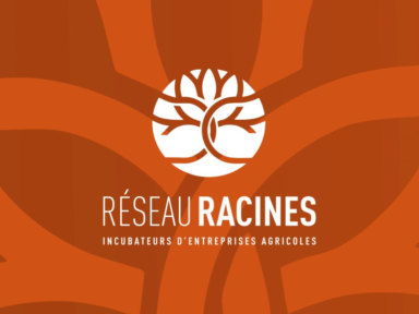 Un nouveau regroupement s’installe au Québec pour soutenir la relève en agriculture