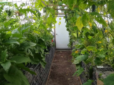 Le CISA entame un projet du Défi Décarbonation au nord du Québec