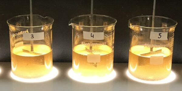 IMG essai jar test afiche atelier des experts 2024 Seraphine Dupont