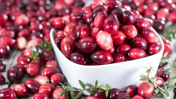 Canneberge web presentation 2