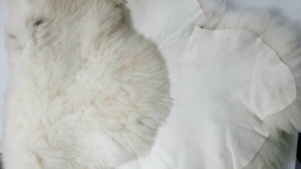 Hudon Thibeault Andree Anne 2