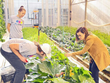 Catherine Théberge, chercheuse au CISA : une voix pour l'inclusion sociale et le développement rural