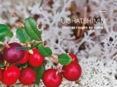 Laboratoire Nutshimiu-mitshim : mobilisation des connaissances, alimentation traditionnelle et développement des capacités locales pour l’adaptation aux changements climatiques avec les Innus de Pessamit