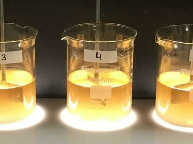 Développement d’un bioprocédé innovant pour le traitement des eaux de drainage des tourbières pour réduire la nuisance environnementale