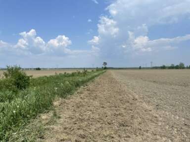 La cogestion des zones tampons en agriculture biologique comme moyen de réduire l’usage des pesticides et améliorer la biodiversité