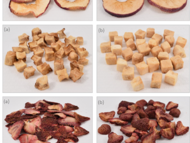 Couplage du séchage à la texturisation par Détente Instantanée Contrôlée (DIC) : application à la valorisation des fruits séchés