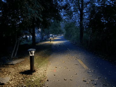 Solidel et Solutions Novika : un partenariat au service de l’innovation