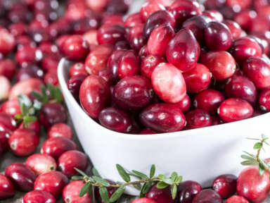 De la canneberge dans un gel dentaire pour animaux