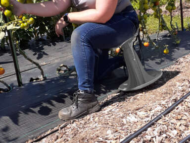 Développement d’une assise pour la récolte de petits fruits