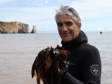 INNOVALGUE — Extraire la pleine valeur des macroalgues du Québec