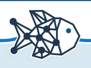 Quand l’intelligence artificielle mord à l’hameçon : moderniser la pêche grâce aune application d’identification des poissons au Québec