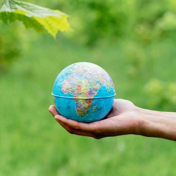 Pexels mikhail nilov 8542547