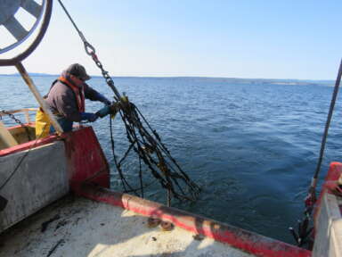 Alex Fréchette : un acteur de changement au service de l’environnement et des pêches
