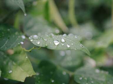 Les 7 piliers de l'économie circulaire