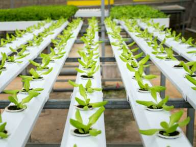 Les innovations technologiques au service de l'agriculture