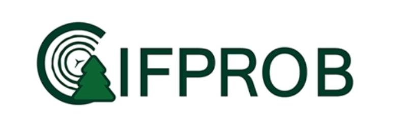 Capture decran 2025 07 31 142649