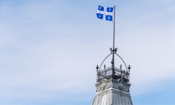 Creation sans titre 1