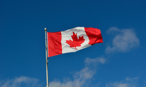 Creation sans titre 32