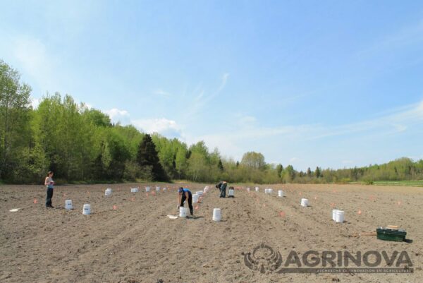 Agrinova-agricultural-research-and-innovation