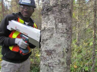 Un expert du CCTT CEDFOB, centre spécialisé dans les forêts boréales