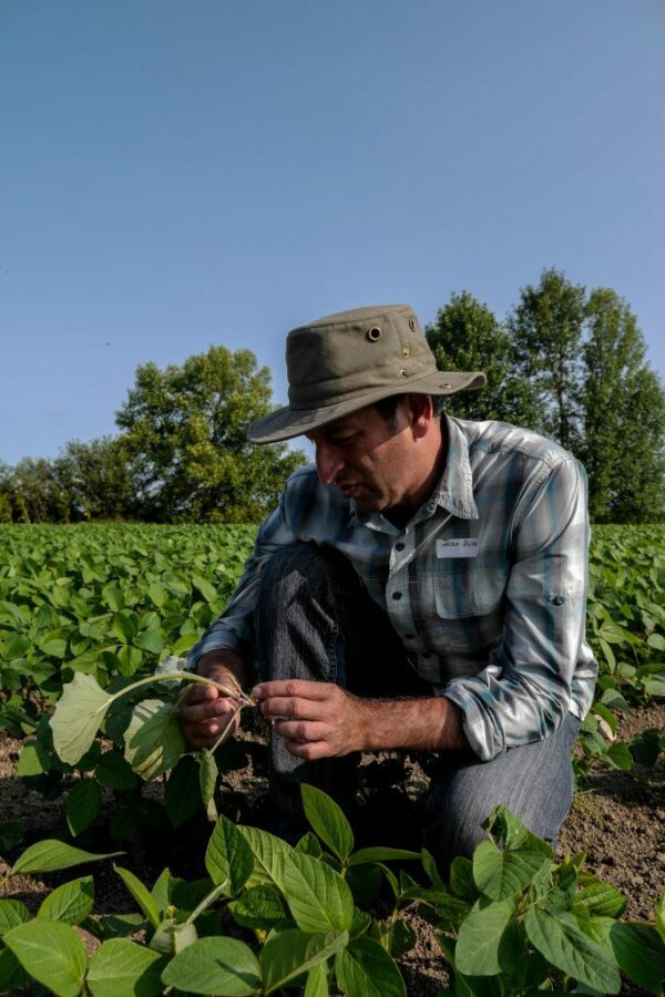 CETAB+-Expertise-en-agriculture-biologique