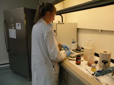 Une femme dans un laboratoire du CCTT SEREX, centre spécialisé dans la transformation des produits forestiers