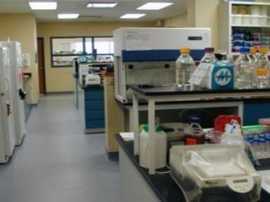L'intérieur du laboratoire du CCTT TRANSBIOTECH, centre spécialisé dans les biotechnologies